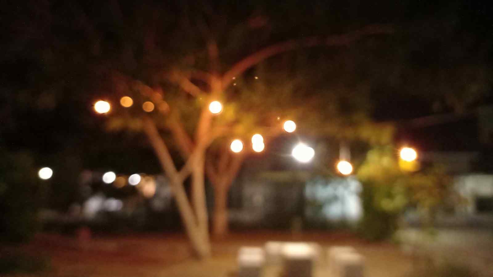 gece korlugu tedavisi Tavuk Karası Tedavisi Son Gelişmeler Nelerdir? gece korlugu tedavisi Tavuk Karası Tedavisi Son Gelişmeler Nelerdir?