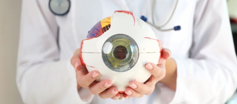 Goz Nedir Ve Goz Anatomisi Nasildir Göz Nedir ve Göz Anatomisi Nasıldır? Goz Nedir Ve Goz Anatomisi Nasildir Göz Nedir ve Göz Anatomisi Nasıldır?